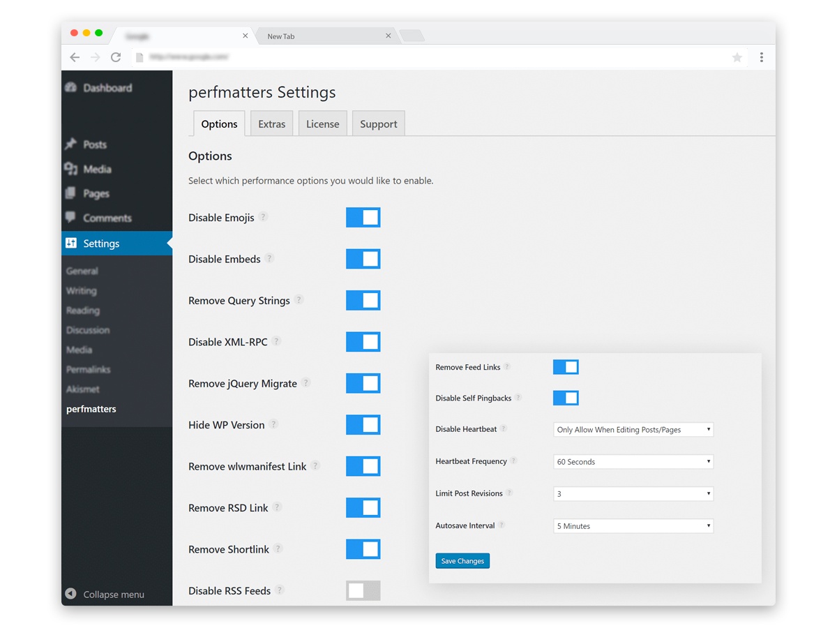 Perfmatters WordPress Performance Plugin configuration and settings