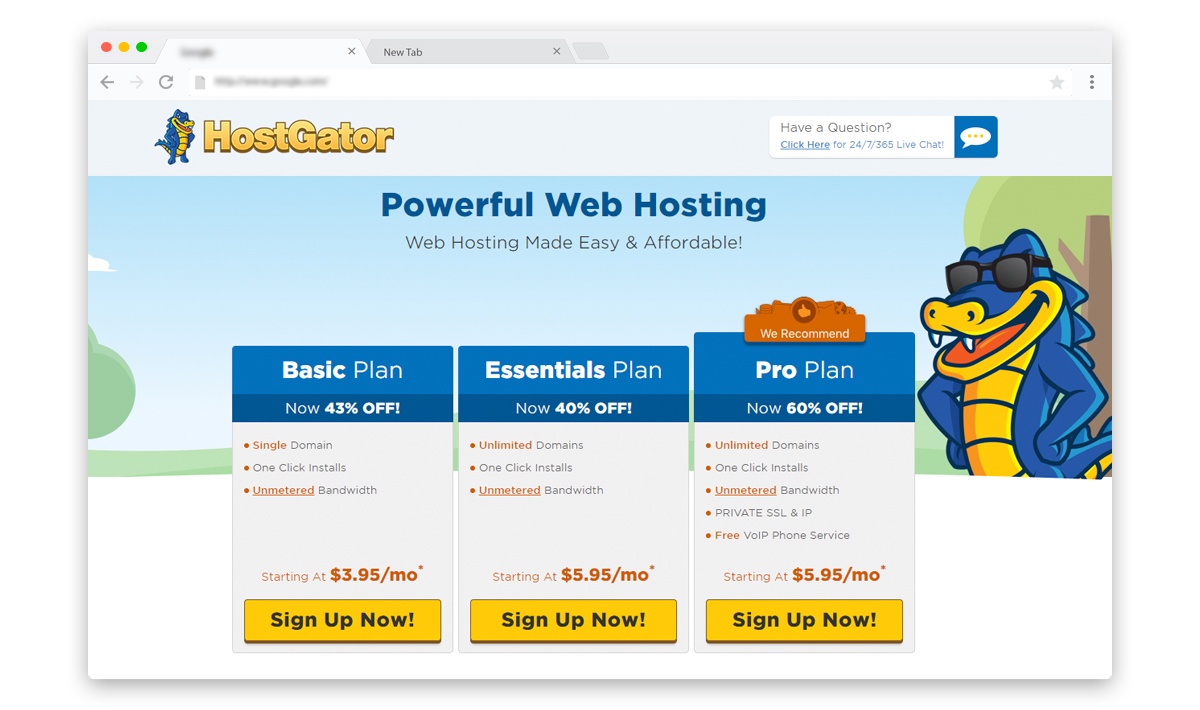 Hostgator web hosting plans and packages